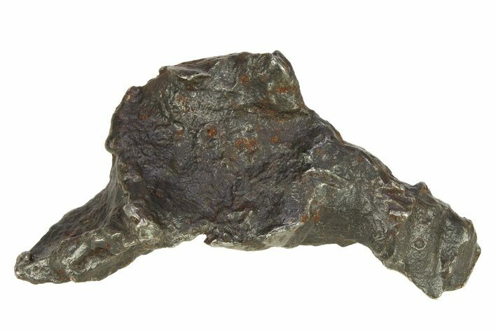 Sikhote-Alin Iron Meteorite Shrapnel ( g) - Russia #287748